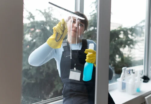 Nettoyage de vitres intérieures et extérieures à Rhèges